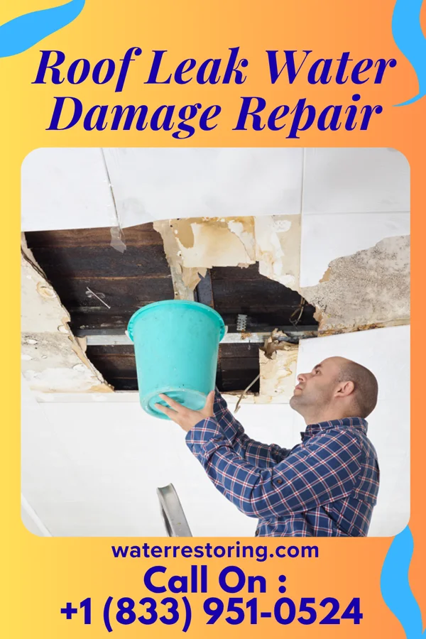 Roof Leak Water Damage Repair in Smith Corner, CA